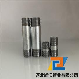 High Quality Seamless Galvanized Steel Pipe Nipples